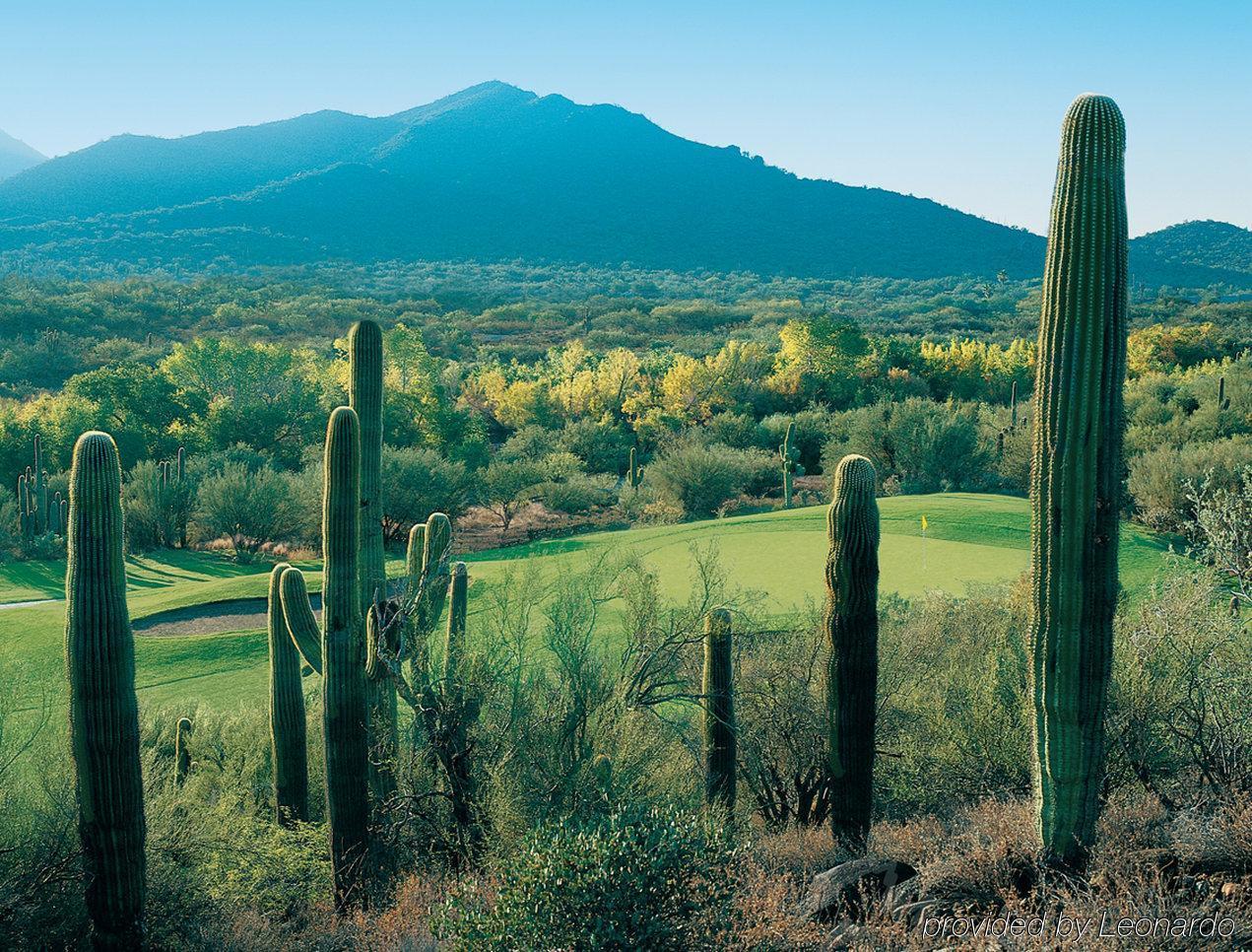 Hilton Vacation Club Rancho Manana Hotel Cave Creek Exterior foto
